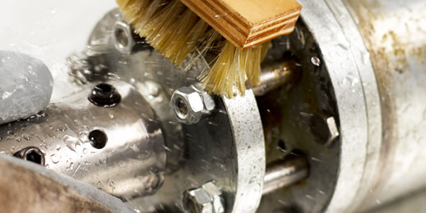 Apply the Degreaser and Brush Apply the Degreaser Brush to the engine