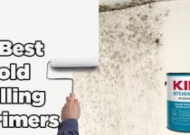 Best Mold Killing Primer