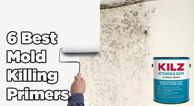 Best Mold Killing Primer Best Mold Killing Primer