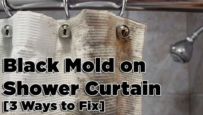 Black Mold on Shower Curtain Remove Black Mold on Shower Curtain