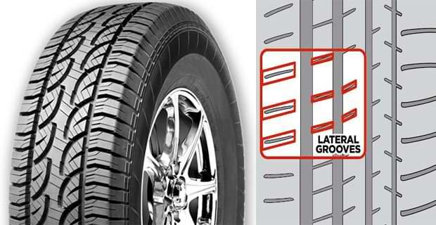 Lateral Grooves Lateral Grooves