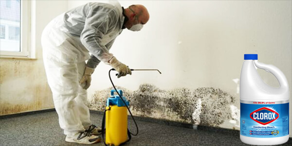 Spray Chlorine Bleach on Your Ceiling mould Spray Chlorine Bleach on Your Ceiling mould
