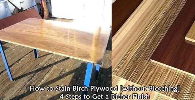 Staining Birch Plywood
