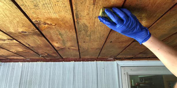 Wiping Mold from Framing Lumber Wiping Mold from Framing Lumber