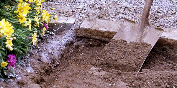 With a shovel dig down from 3 to 6 inch dirt With a shovel dig down from 3 to 6 inch